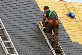 Best Asphalt Shingle Roofing  in New Buffalo, MI